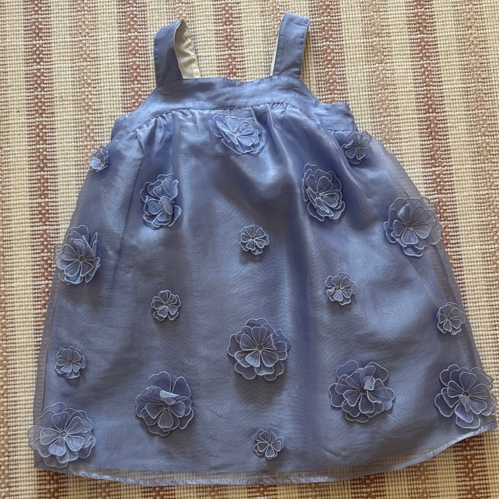 J. Crew Kids Dress in Blue with Floral Appliqué